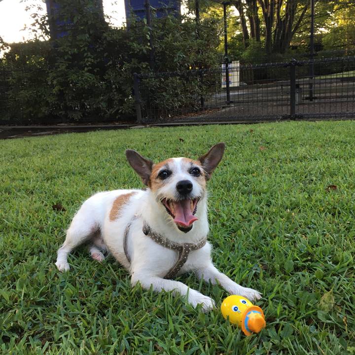 3bad3a3e 3205 4cb5 83f3 788e867b9a05 1599435037816