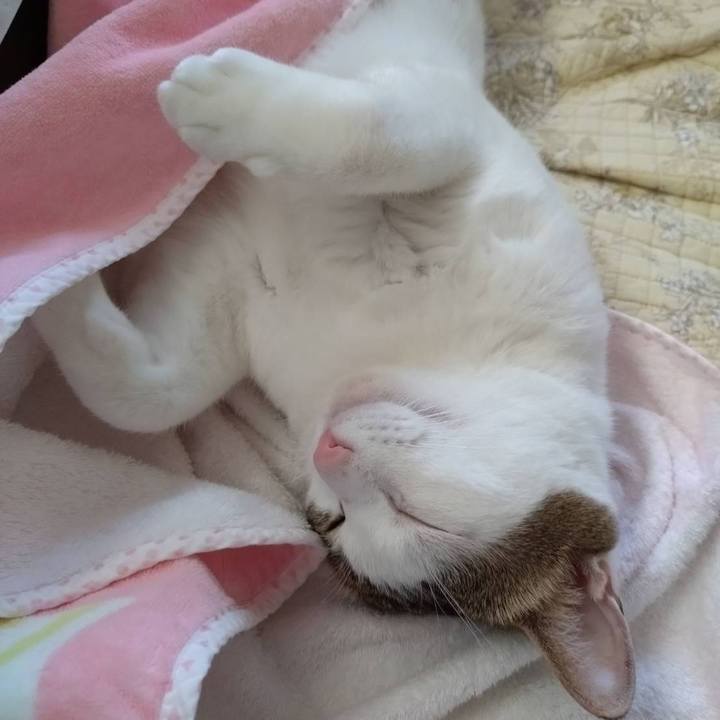 3bad4896 e138 4eb1 9d21 c7931ef50580 1727331154193