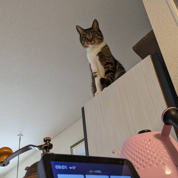 3bad7ddb d476 4faa 8a9c 0ab9ba6b7df9 1701734854142