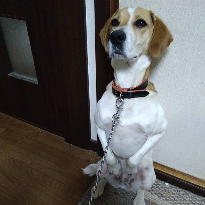 3bad7e22 59a3 4a1f ba14 b92dd34850f5 1621334609622