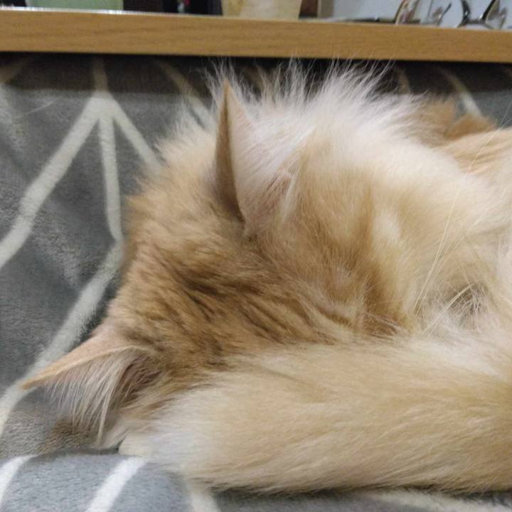 3badceb8 a2e0 43d1 834e 7a9e3f89feee 1710252169941