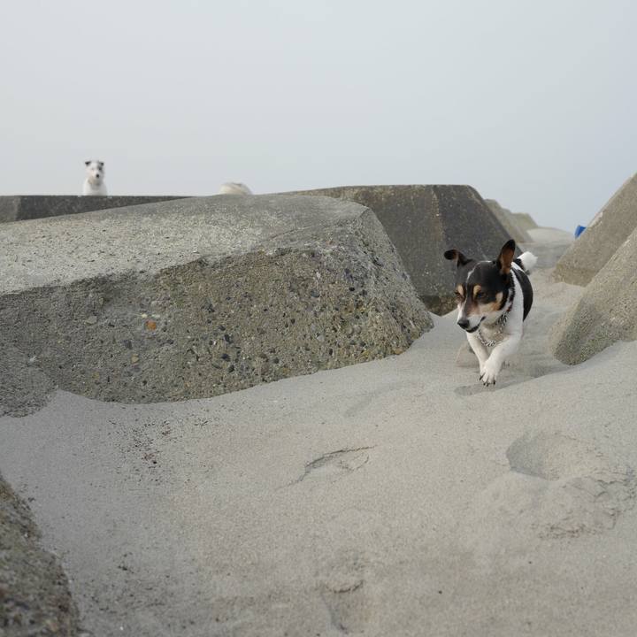 3badebd2 4f83 4fa7 ad8b 52a95ad8b62a 1522298531084