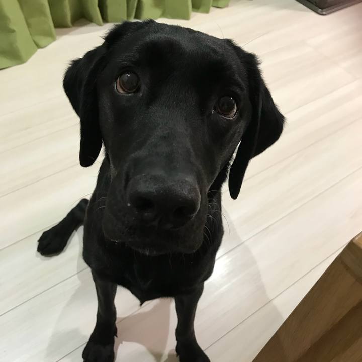 3bae1dd5 3b8a 4cfd b8c2 8883a848ab98 1521691003322