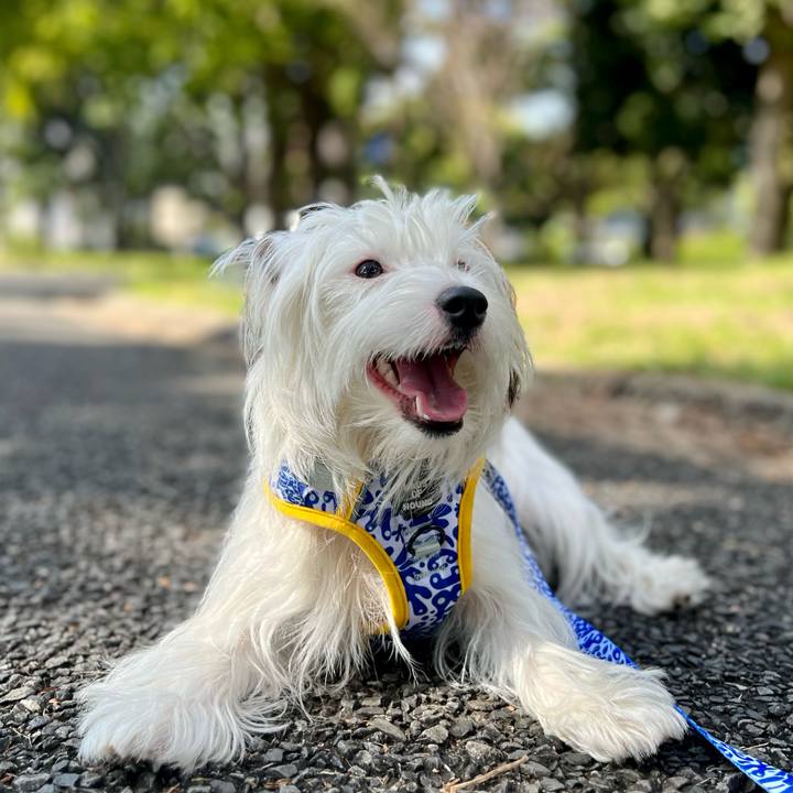 3bae243b cd03 46e7 908e a63b6de45122 1728910527939