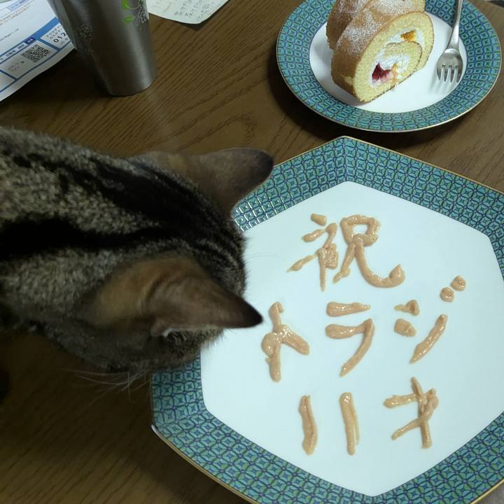 3bae601c a7bc 4ffd 991b 999b429cfc2a 1772270474638