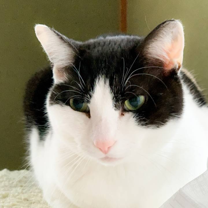 3bae642c b42b 4629 b5bb e415e3aaec63 1588379767034