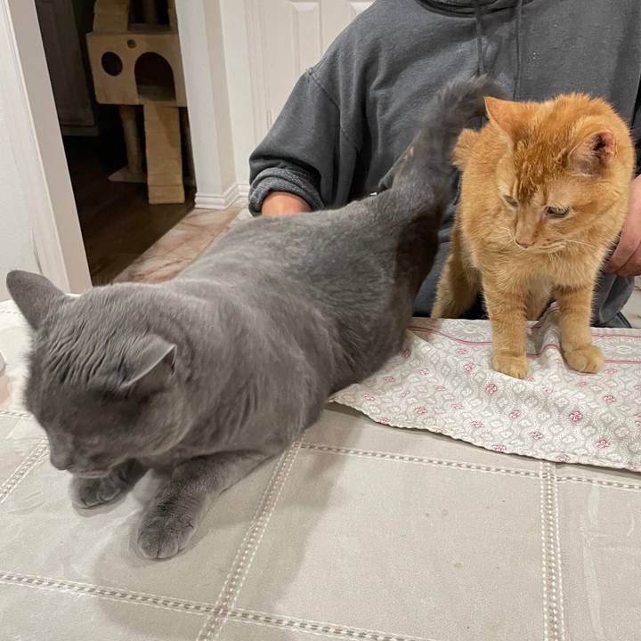 3bae6ba3 c1db 4bd9 bf44 28d317b70232 1769476384754