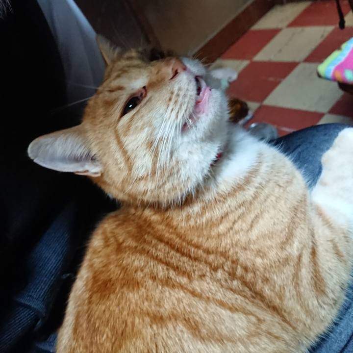 3bae8534 6f3d 432a b1fd c65e63f38cfb 1578388134738