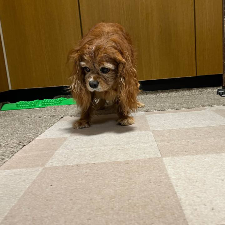 3baea4bf 8be3 4613 9cab dd9749801a25 1766629020583