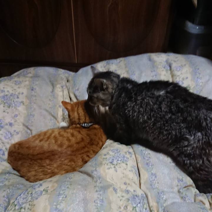 3baf2af6 d131 4e8a b865 630d42f5592a 1575980514474