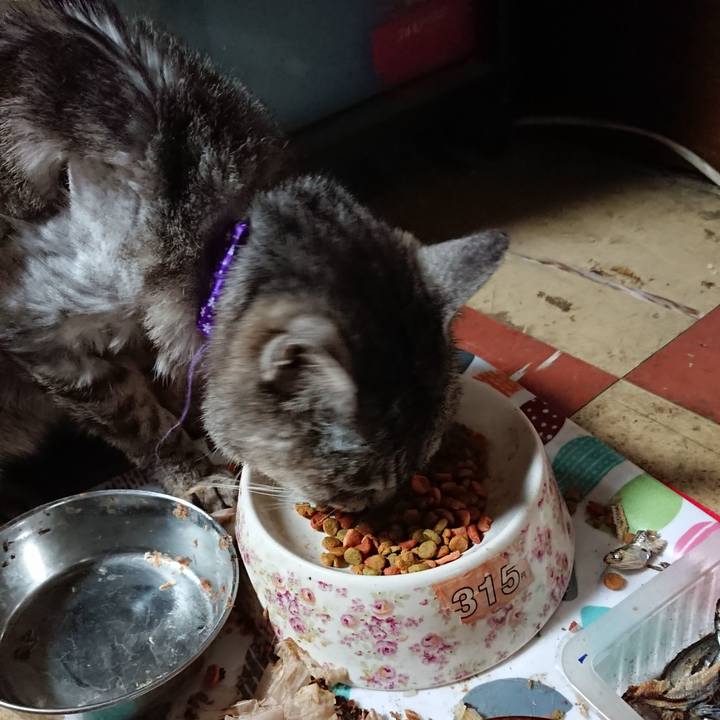 3baf5de9 27d4 49aa a08c 921118fdba48 1591348384979