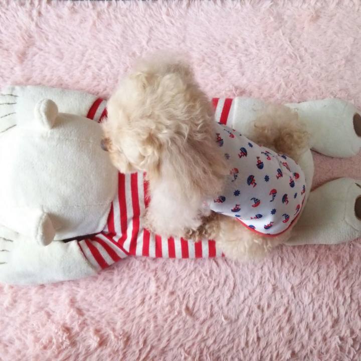 3baf6739 ba8d 4816 8d34 9b5e5fa6fd3b 1526383369610