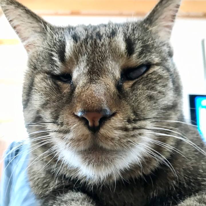 3baf781b 775a 44ab 98df 1d708e9cd02e 1588420461661