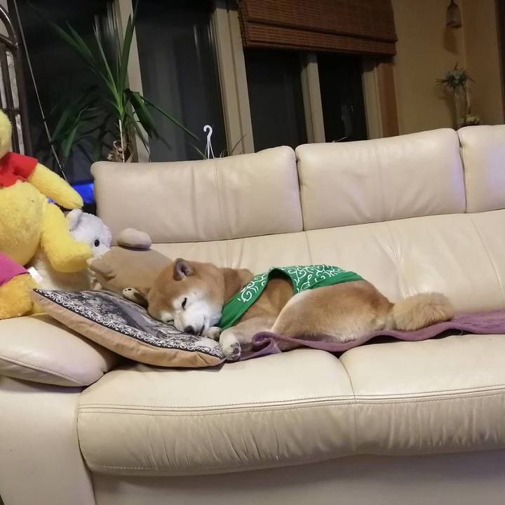 3baf7f48 7567 4dc0 9bb4 dc77c2cda6f2 1584968725951