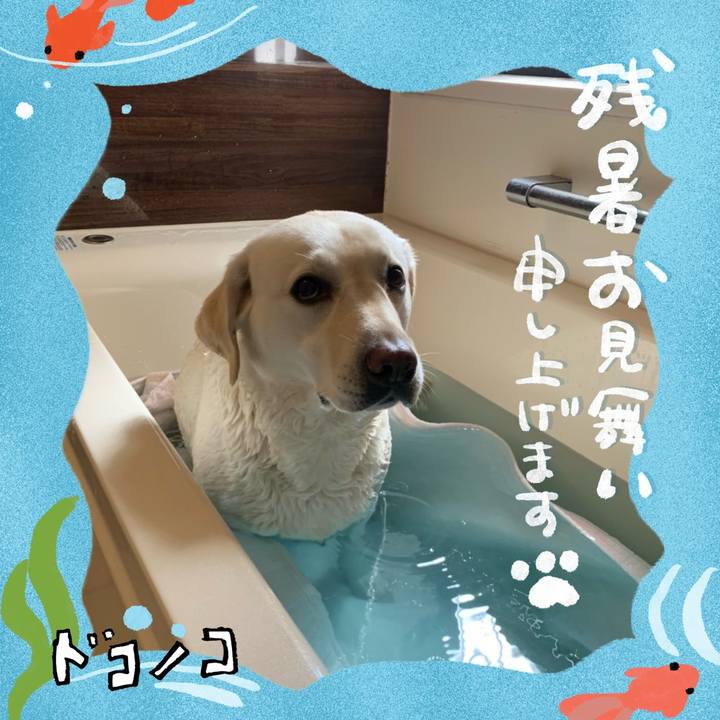 3baf87c7 3938 45b2 9c9e d5a9ace1354d 1723437526502