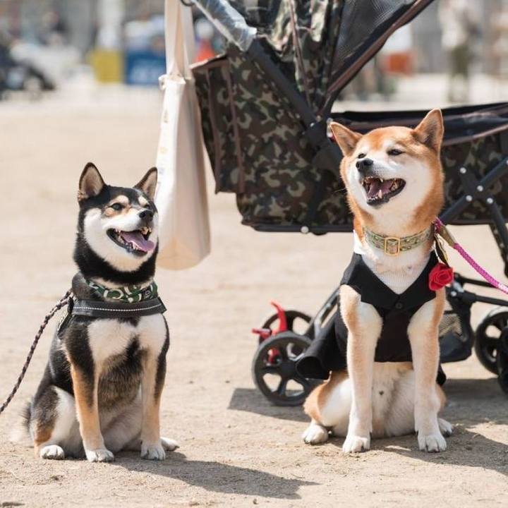 3bafa010 1b62 4c8d 9939 f91c88617237 1713361586941