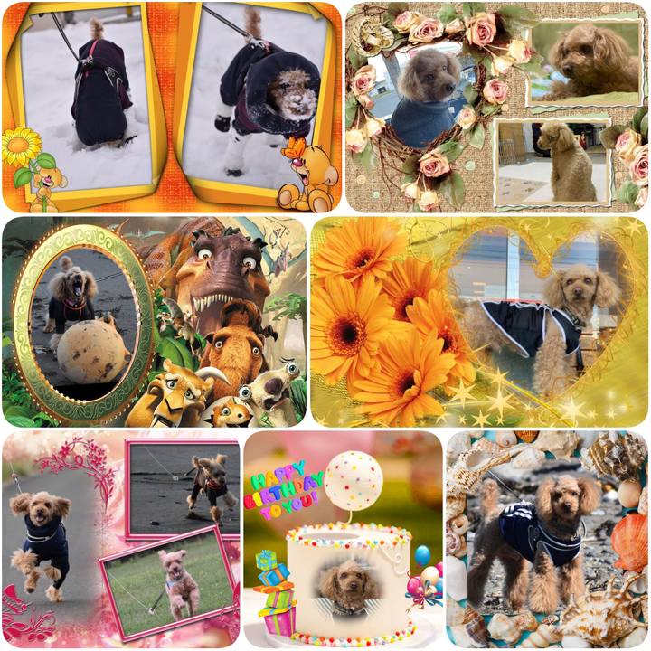 3bafada9 ea42 4172 b2b0 467b45f287ed 1639691933743