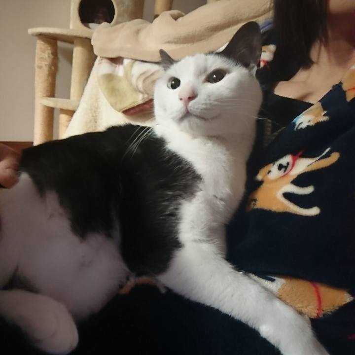 3bafe090 f443 446e 928b 9883a8591d28 1549983327896