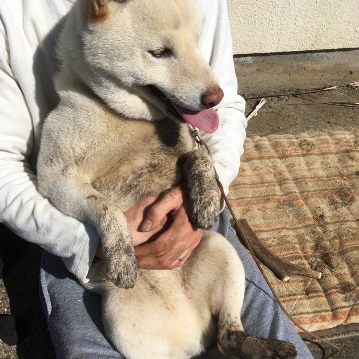 3baff7e9 a8d9 4af6 86b2 208ed86589f5 1521939462879