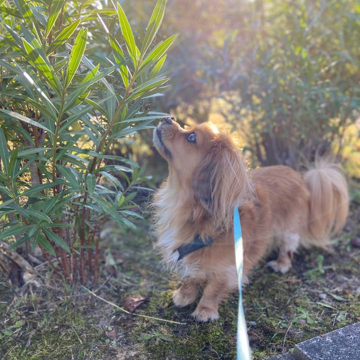 3bb01584 c88d 4b7a a252 1bd4667fc3d1 1573343929386