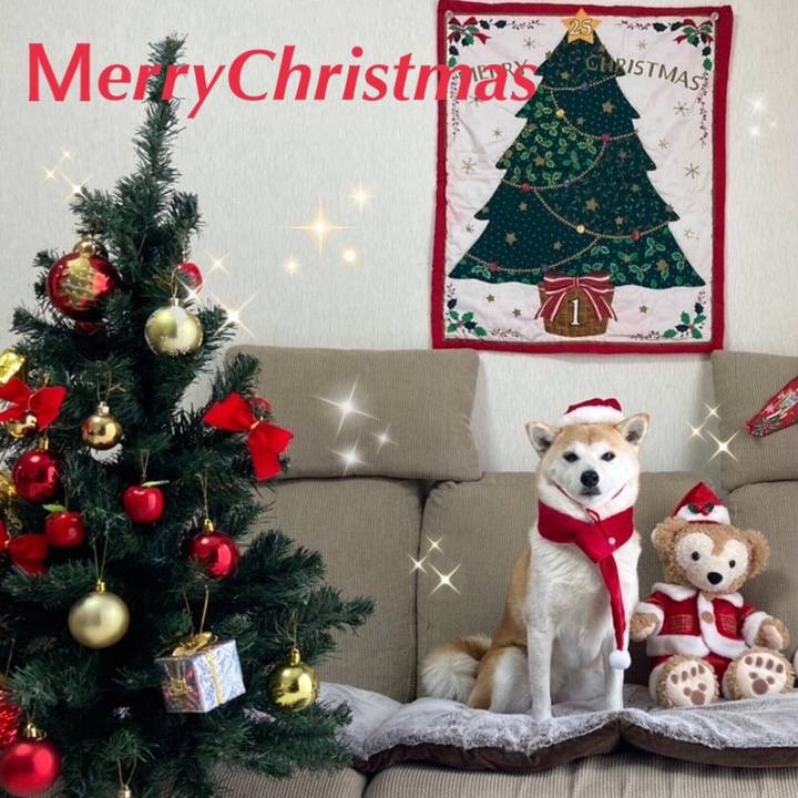 3bb0264a 54fb 4091 b5bf 8d52e8128610 1640335665078