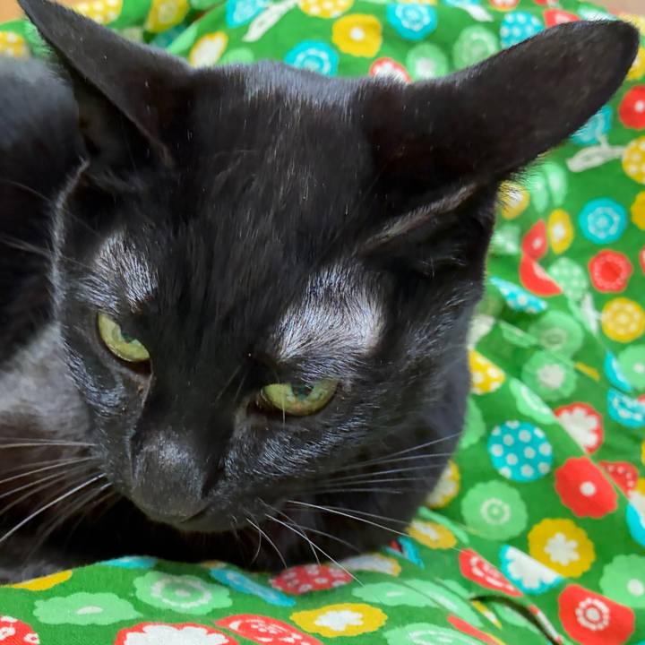 3bb038c0 7dd8 41de 836e 812681edcf5c 1767327817521