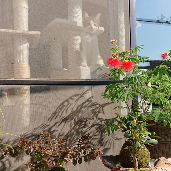 3bb03b81 892a 48f5 ab98 5df155a782f2 1541811710819