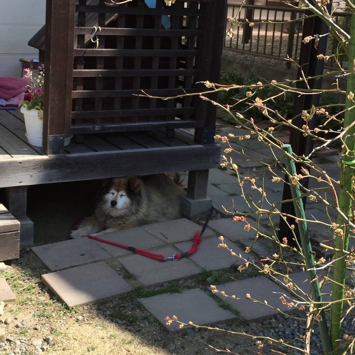 3bb03e88 7af0 4631 9d9e e49d72c18f16 1602553482713