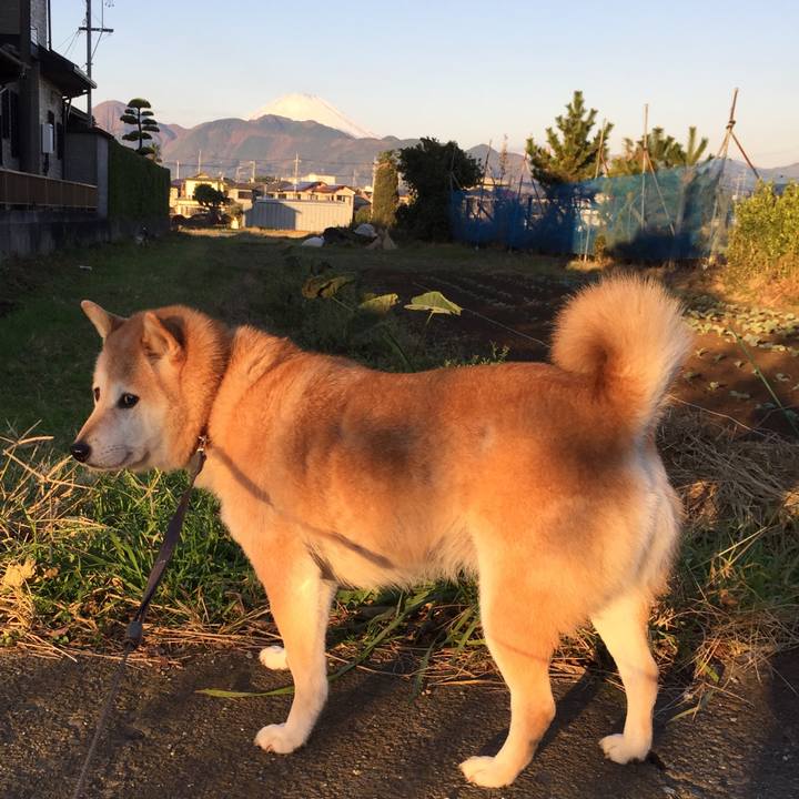 3bb07c43 4406 49b5 8c8b 64d9df442832 1511760286599