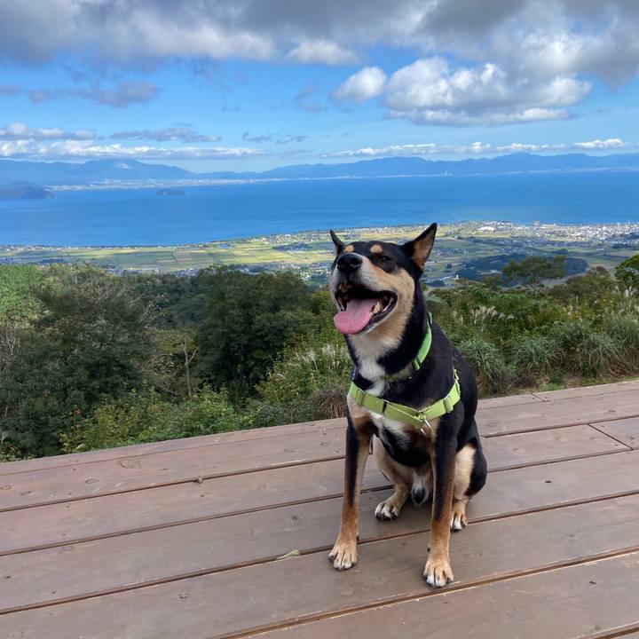 3bb0876e 5f37 4045 8fca af342a50753b 1633519320711