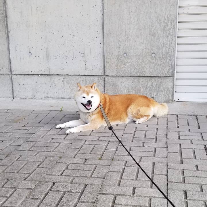 3bb0b86c 4455 4766 9675 ed5852a9ec7f 1718092397262