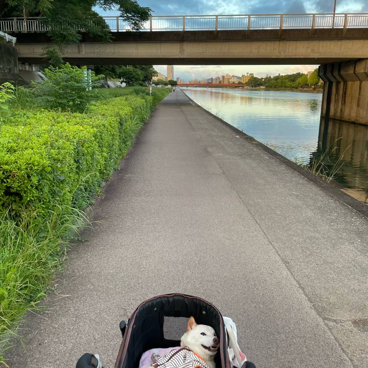 3bb0f75d 00f7 4dbc 85af c46fffdd00f1 1659013379061