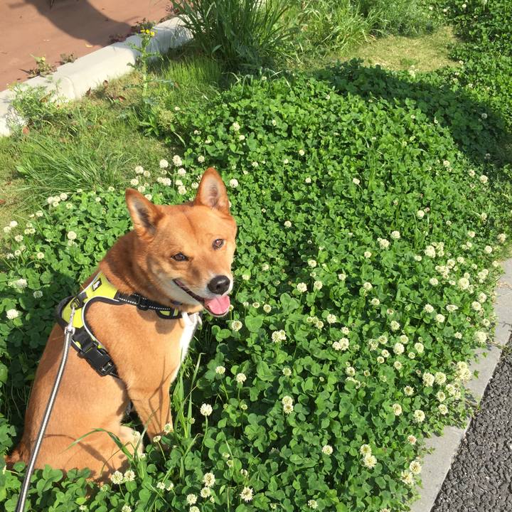 3bb100e9 dc40 4286 b2f9 79ca23dde7e4 1524415519537