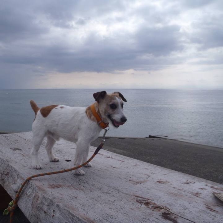 3bb14357 caae 4e5d 9bde 59dbb7ff1666 1527076762911