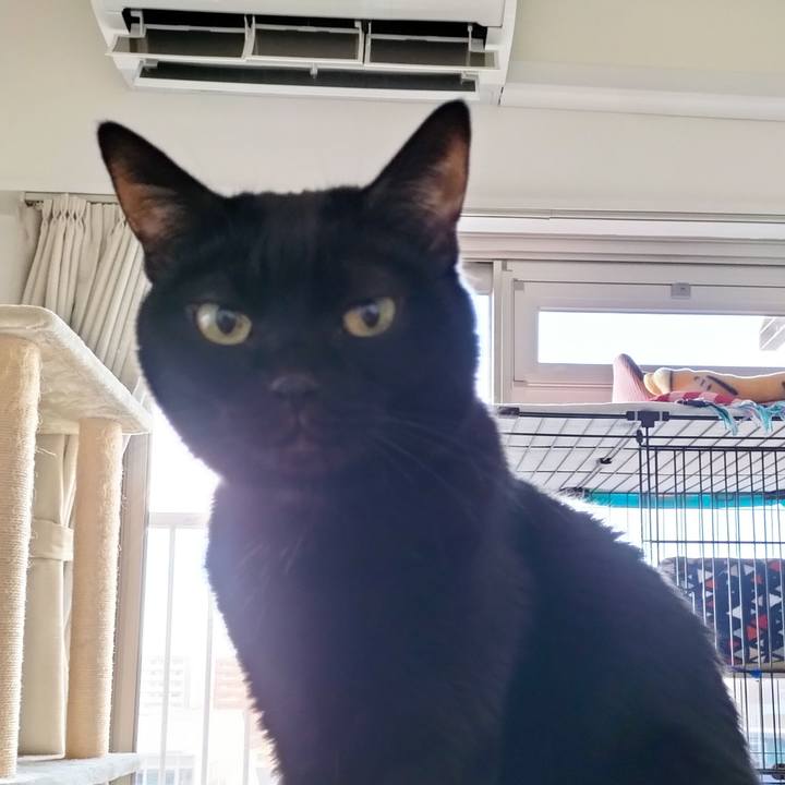 3bb15171 5884 4a5b a744 e2b7c3c2e0d0 1700001156065