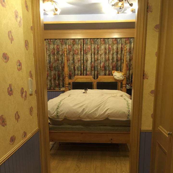 3bb158c3 d495 429d 93cf 3e912bcb5298 1565056799205