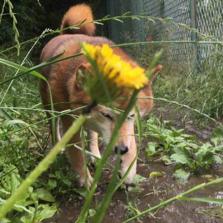 3bb1628e ef65 40dd 8ca7 f2b5baaf48b3 1590988914909