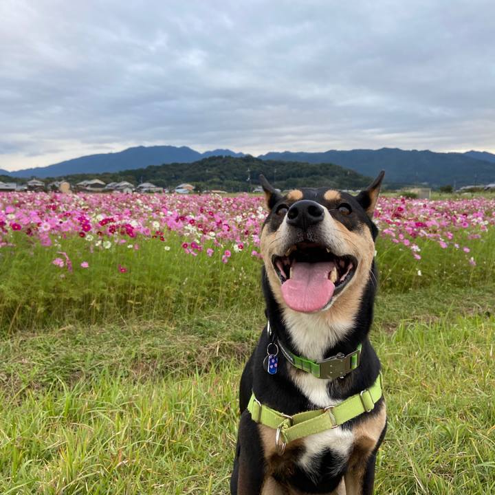 3bb19965 46e7 449f 8a01 069926d541e9 1634557347127