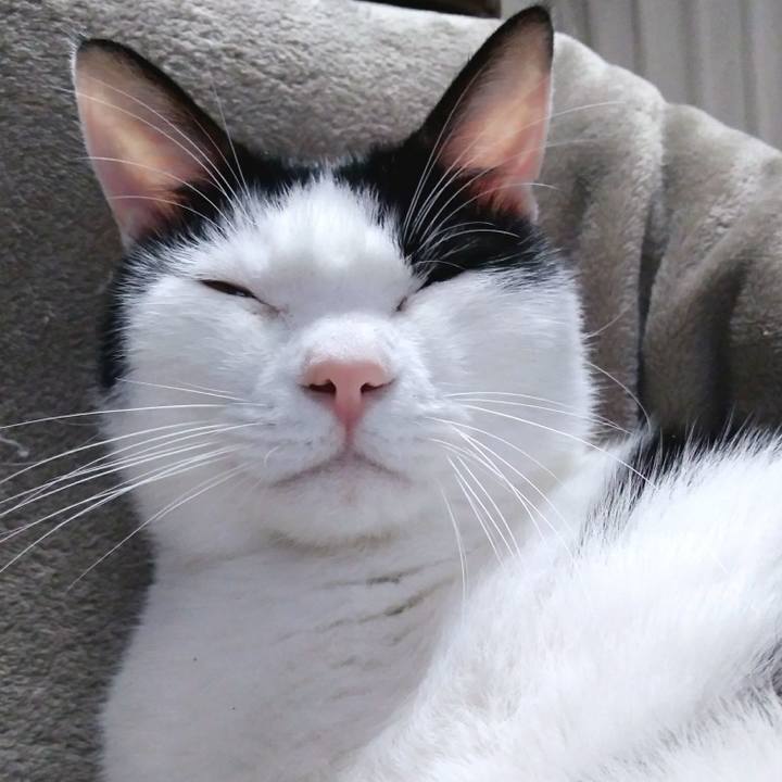 3bb1b41c ebd2 49be 9e71 0766cc5370f4 1548764610323