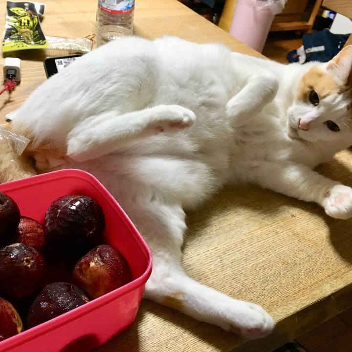 3bb1e0c4 b017 441d aa92 1174140afa13 1536423209458