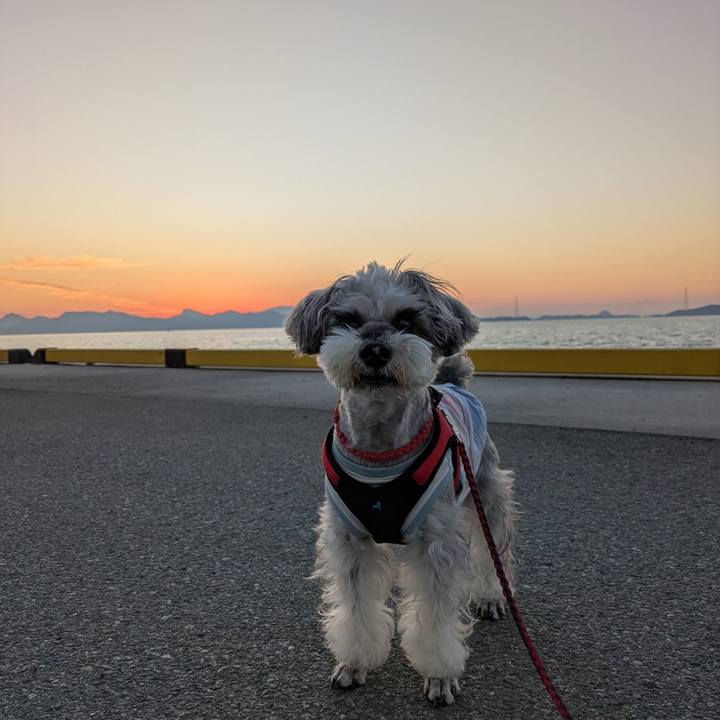 3bb2126d d125 4be8 9c32 944f76483506 1763297048454