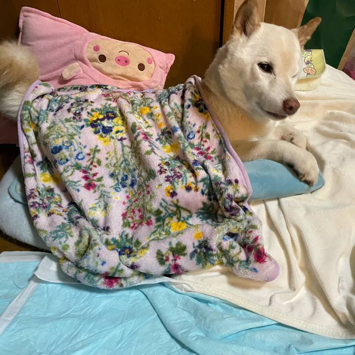 3bb21b0b f30b 4db6 86c8 1ebca8f39dd3 1634816537526