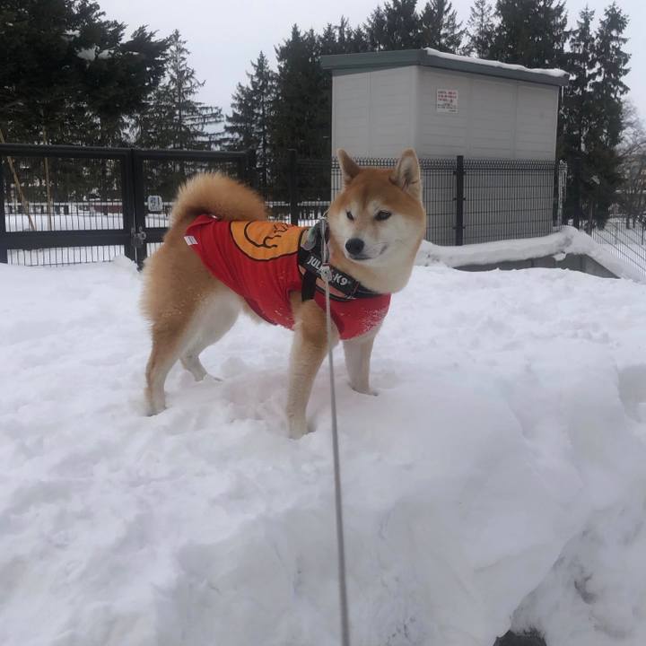 3bb2210e b25b 41bd a060 39156d060c09 1564669398402