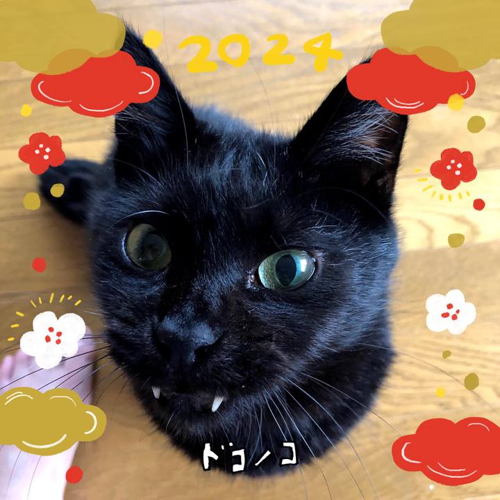 3bb2458b e9f7 4123 8474 8c4a321d96d5 1704106279796