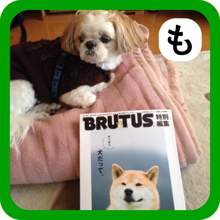 3bb2470e 0e7b 456b b334 a5c4bf68fe17 1515216238484