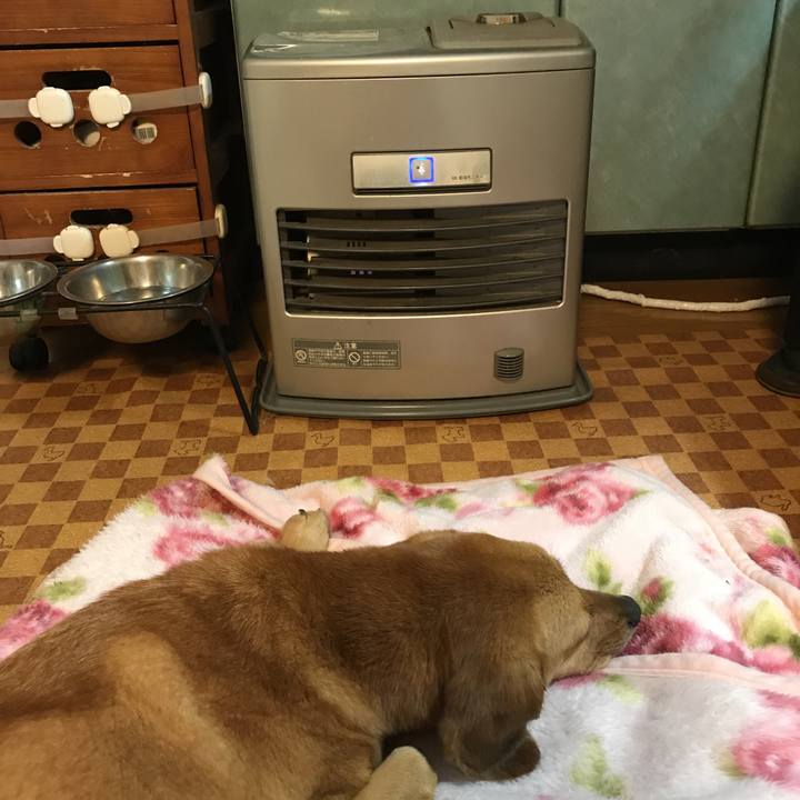 3bb26305 e72d 44b6 ba7b 655c048dc9d9 1508118308738