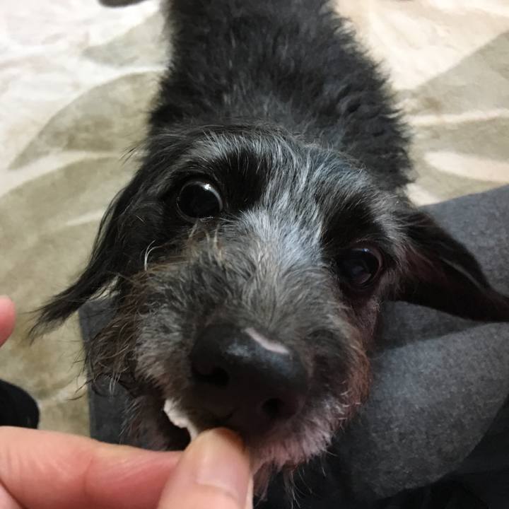 3bb2ab50 bff0 4770 a13d dcac28138b96 1578350659640