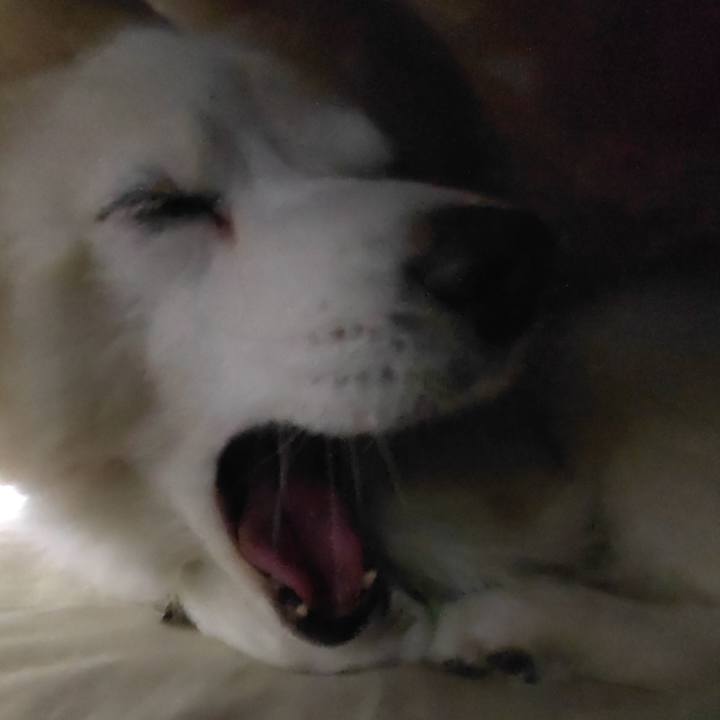 3bb2b7ff 0016 45e1 abf9 7587180de1d2 1643057331173