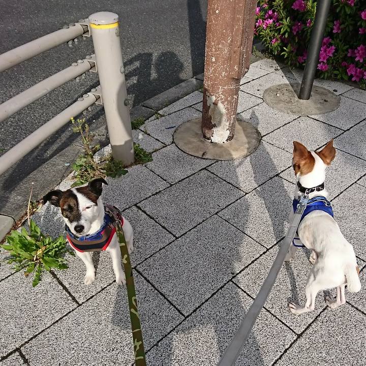 3bb2e8b8 27b3 4e44 a216 99dda21cc29b 1523831035480