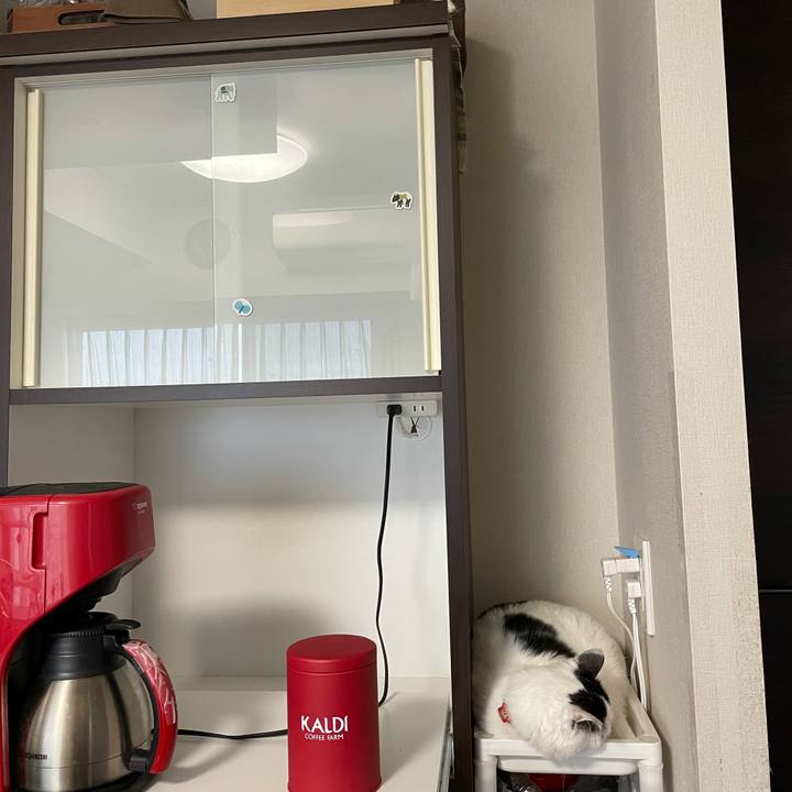 3bb31689 a4e6 412d ba18 9151770364ee 1621567550918